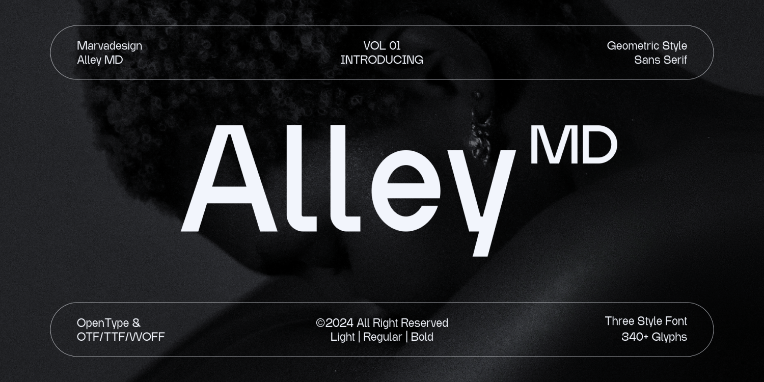 Alley MD Font Poster