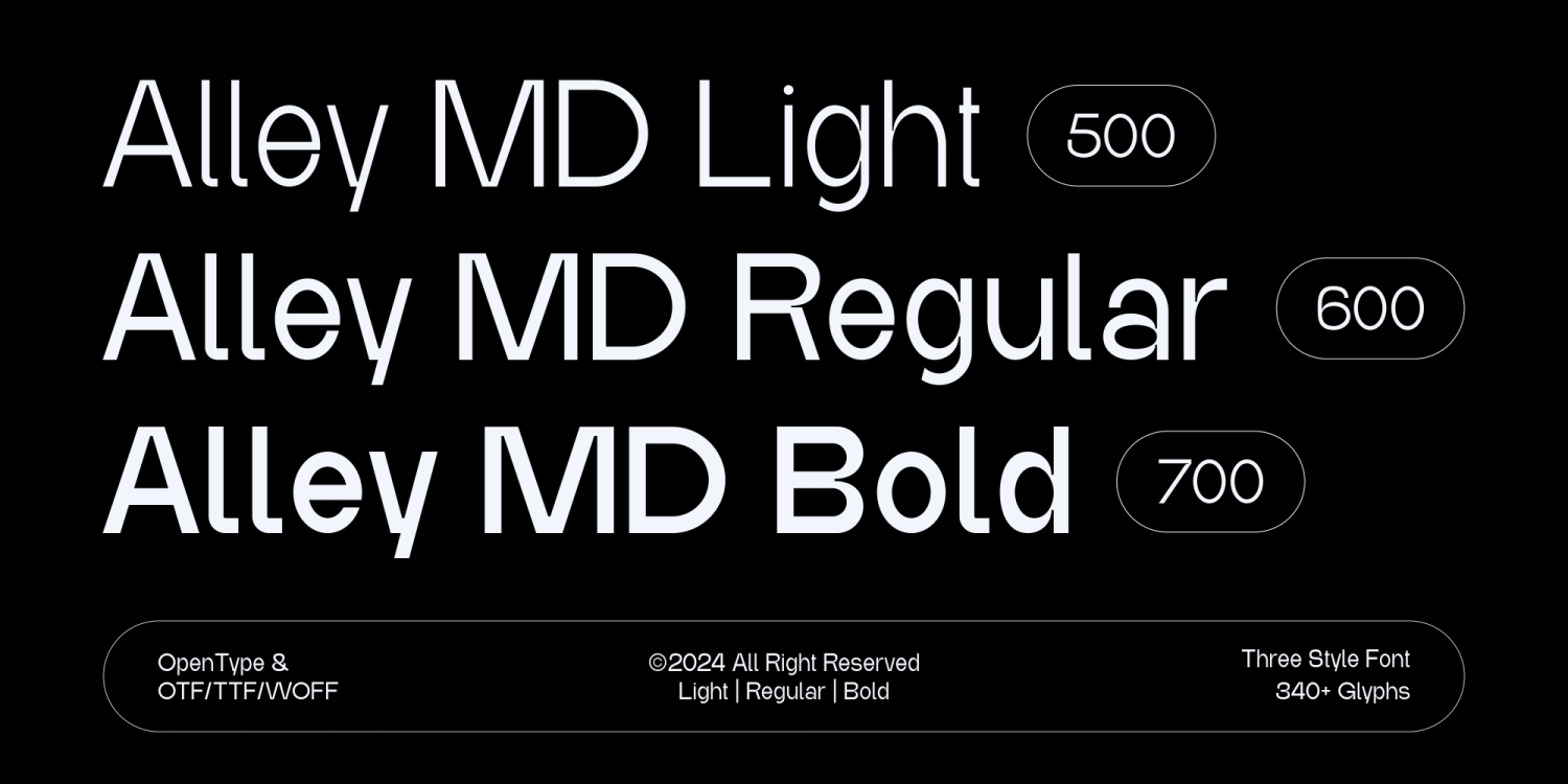 Alley MD Font Poster #1