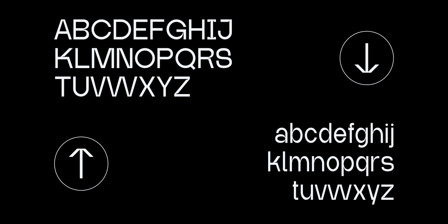 Alley MD Font Poster #1
