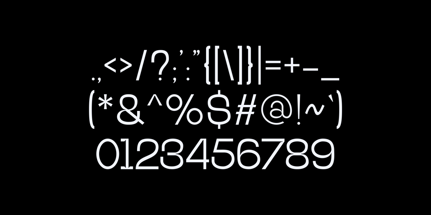 Alley MD Font Poster #1